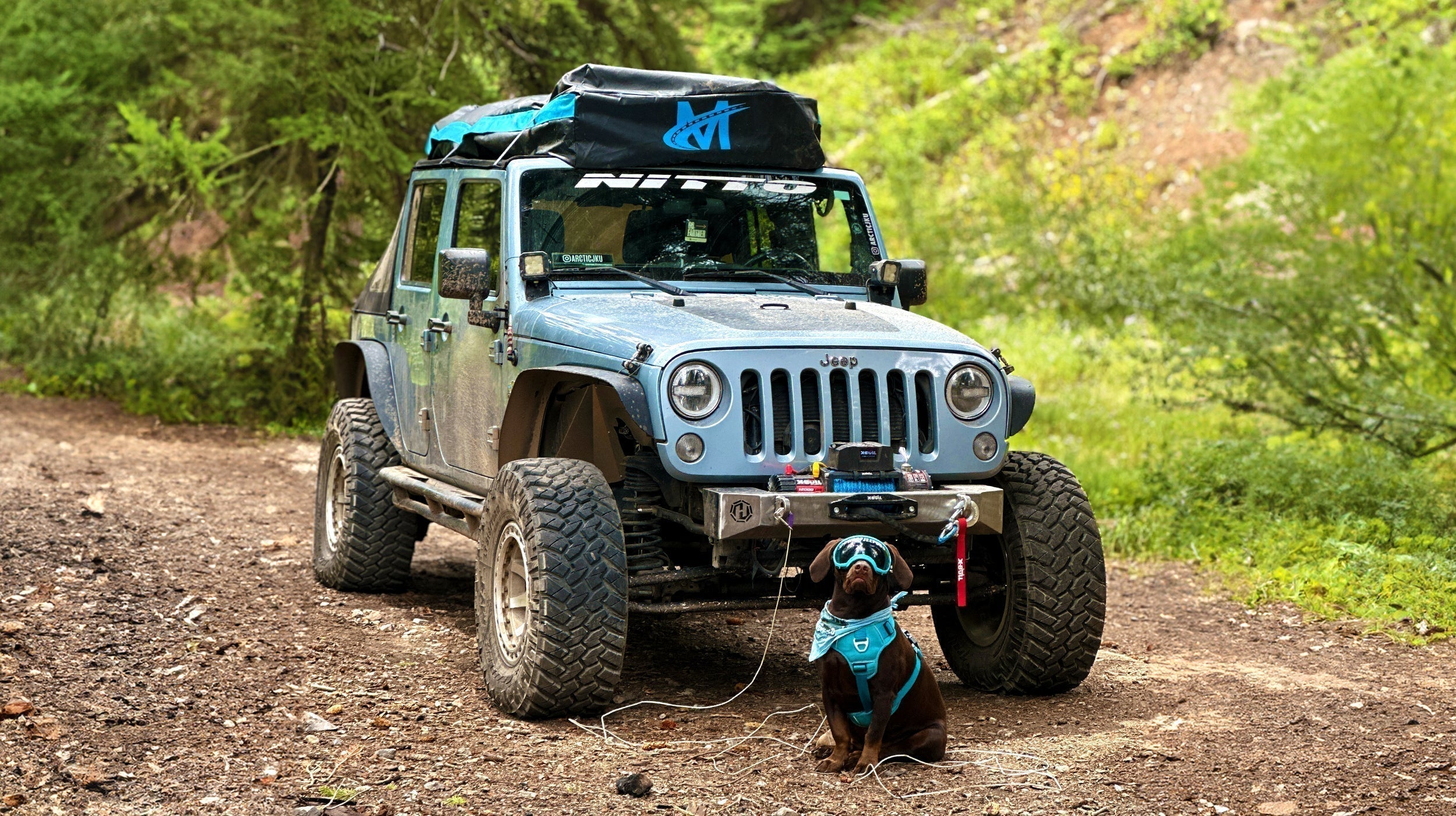 【THE MOZZ】Freddie Cargo Setup Step-by-Step Guide: How to Install a Rooftop Cargo Bag