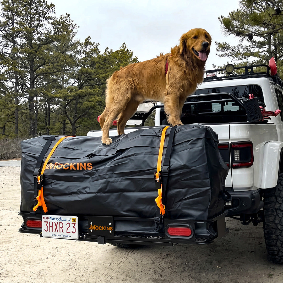Traveling with Pets? Here’s How a Hitch Cargo Carrier Can Save Space (and Sanity)