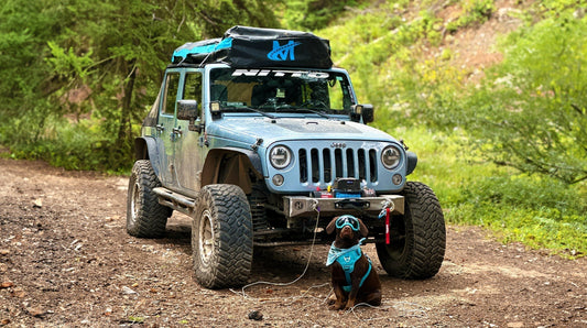 Step-by-Step Guide: How to Install a Rooftop Cargo Bag Without Losing Your Mind (or Your Luggage)